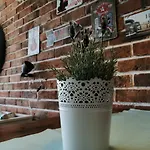Radosevac Apartmán *